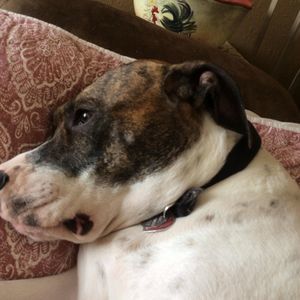 Meet your Posher, Becky